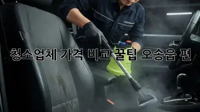 청소업체 가격 비교 꿀팁🍯 (오송읍 편)