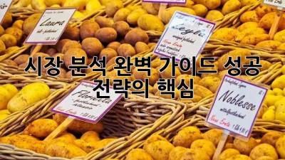 시장 분석 완벽 가이드: 성공 전략의 핵심